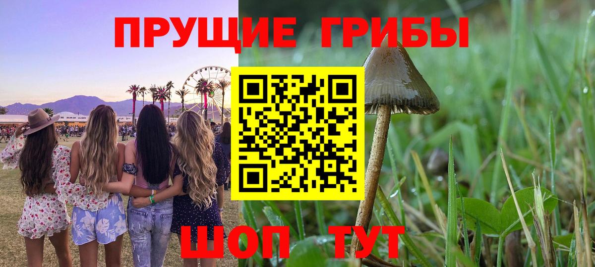 Галлюциногенные грибы ЛСД Уфа